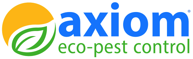 Logo axiom